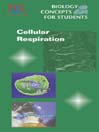 Cellular Respiration